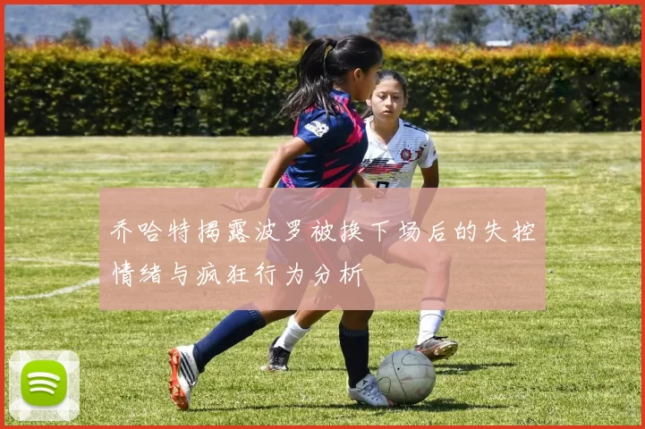 乔哈特揭露波罗被换下场后的失控情绪与疯狂行为分析