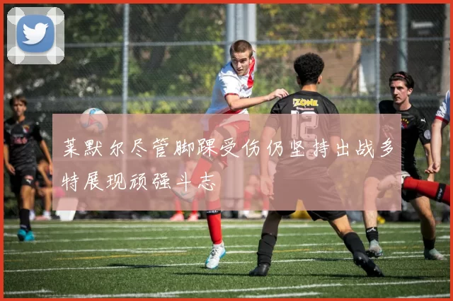 莱默尔尽管脚踝受伤仍坚持出战多特展现顽强斗志